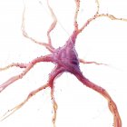 Realistic illustration of human nerve cell on white background. — Stock Photo