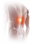 Ilustración del dolor muscular de espalda en el cuerpo humano . - foto de stock