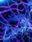 Illustration of dendrites of human nerve cell. — Stock Photo