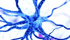 Abstrakte farbige Darstellung der blauen menschlichen Nervenzelle auf hellem Hintergrund. — Stockfoto