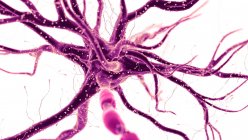 Абстрактна кольорова ілюстрація нервової клітини людини на світлому фоні . — стокове фото