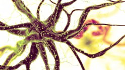 Abstrakte farbige Darstellung menschlicher Nervenzellen auf hellem Hintergrund. — Stockfoto