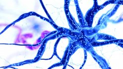 Abstrakte farbige Darstellung der blauen menschlichen Nervenzelle auf hellem Hintergrund. — Stockfoto