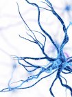 Цифровая иллюстрация нервных клеток человека с дендритом . — стоковое фото