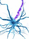 Digitale Darstellung menschlicher Nervenzellen mit Dendriten. — Stockfoto
