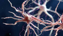 Иллюстрация соединений нервных клеток человека . — стоковое фото