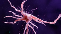 Farbige Darstellung der Nervenzelle auf dunklem Hintergrund. — Stockfoto