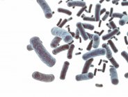 Cellules bactériennes sur fond blanc, illustration numérique . — Photo de stock