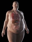 Illustration of silhouette of obese man with visible organs. — Stock Photo
