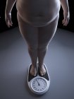 Ilustración de la sección baja del hombre obeso en la escala de peso . - foto de stock