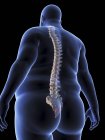 Ilustración de la silueta del hombre obeso con columna vertebral visible
. - foto de stock