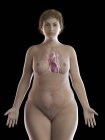 Illustrazione di donna in sovrappeso con cuore visibile su sfondo nero
. — Foto stock