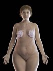Ilustración de mujer con sobrepeso con glándulas mamarias visibles sobre fondo negro
. — Stock Photo