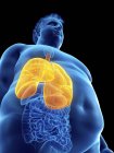 Ilustración de la silueta del hombre obeso con pulmones visibles . - foto de stock