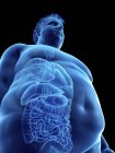 Ilustración de la silueta del hombre obeso con órganos visibles . - foto de stock