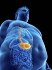 Ilustração da silhueta do homem obeso com estômago visível . — Fotografia de Stock