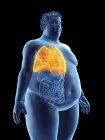 Ilustración de la silueta del hombre obeso con pulmones visibles . - foto de stock