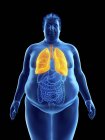 Ilustração da silhueta do homem obeso com pulmões visíveis . — Fotografia de Stock