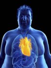 Ilustração da silhueta do homem obeso com coração visível . — Fotografia de Stock