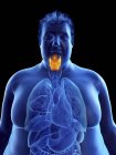 Ilustração da silhueta do homem obeso com laringe visível . — Fotografia de Stock