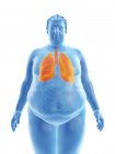 Illustration der Silhouette eines fettleibigen Mannes mit sichtbaren Lungen. — Stockfoto