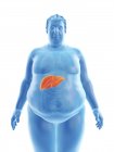 Ілюстрація силуету ожиріння людини з видимою печінкою . — стокове фото