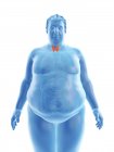 Illustrazione della silhouette dell'uomo obeso con ghiandola tiroidea visibile . — Foto stock