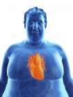 Ilustración de la silueta del hombre obeso con corazón visible . - foto de stock