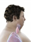 Ilustración de la figura del hombre obeso con glándula tiroides visible . - foto de stock