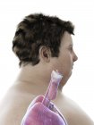 Ilustração da silhueta do homem obeso com anatomia visível da garganta . — Fotografia de Stock