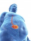 Ilustración de la silueta del hombre obeso con el estómago visible
. - foto de stock