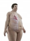 Иллюстрация фигуры толстяка с видимым сердцем
. — стоковое фото