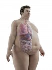 Illustrazione della figura dell'uomo obeso con organi visibili . — Foto stock