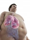 Ilustração da figura do homem obeso com pulmões visíveis . — Fotografia de Stock