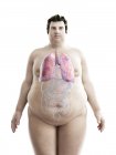 Illustration der Figur des fettleibigen Mannes mit sichtbaren Lungen. — Stockfoto