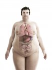 Illustration of figure of obese man with visible organs. — Stock Photo