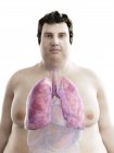 Illustration of figure of obese man with visible lungs. — Stock Photo