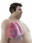Illustration der Figur des fettleibigen Mannes mit sichtbaren Lungen. — Stockfoto