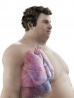 Illustration der Figur des fettleibigen Mannes mit sichtbaren Organen. — Stockfoto