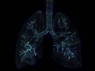 Abbildung abstrakter Plexus-Lungen auf schwarzem Hintergrund. — Stockfoto