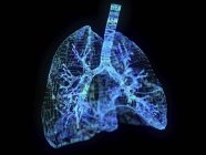 Ilustración de los pulmones del plexo abstracto sobre fondo negro . - foto de stock