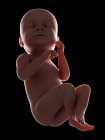 Illustrazione del feto umano alla settimana 38 su sfondo nero . — Foto stock
