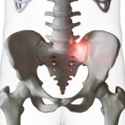 Illustration numérique de l'articulation douloureuse du sacrum dans le squelette humain . — Photo de stock