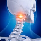 Illustrazione digitale di vertebre atlanti dolorose nello scheletro umano . — Foto stock