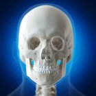 Illustration of human skull in human skeleton on blue background. — Stock Photo