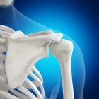 Ilustração dos ossos do ombro no esqueleto humano sobre fundo azul . — Fotografia de Stock