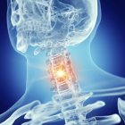 Illustrazione della colonna vertebrale cervicale nello scheletro umano su sfondo blu . — Foto stock