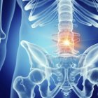 Illustration of lower back pain in human skeleton on blue background. — Stock Photo