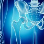Illustrazione delle ossa dell'anca nello scheletro umano su sfondo blu . — Foto stock