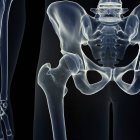 Illustration of hip joint in human skeleton on black background. — Stock Photo